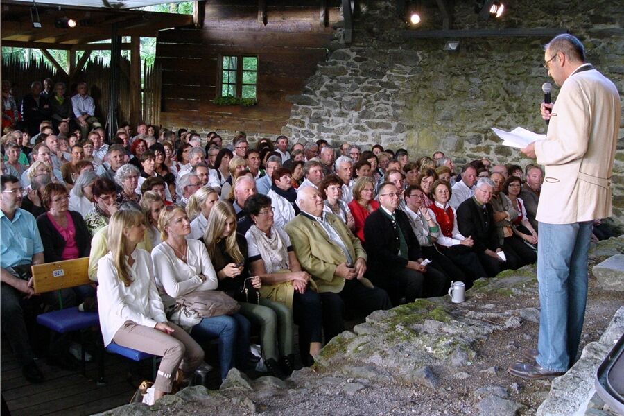Schauer-Zollner-Bild 7